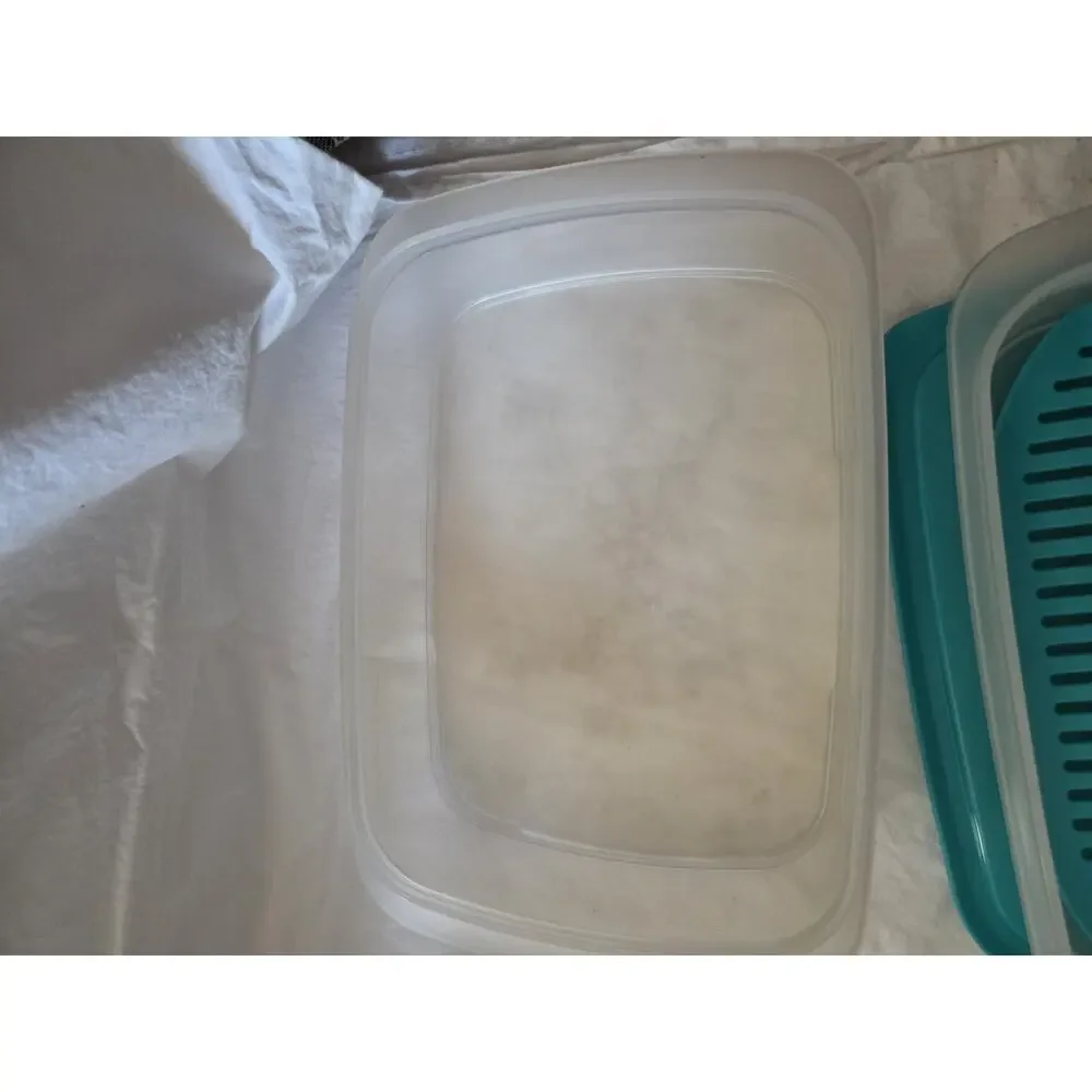 Tuppeware Fridge Stackables Family Set of 3 Clear Containers with 1 Blue Lid